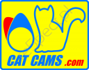 CatCams